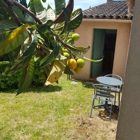 Grand Studio La Roquette-sur-Siagne Exteriör bild